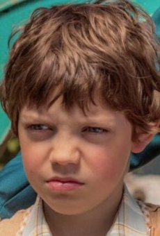 Максвелл Мэр